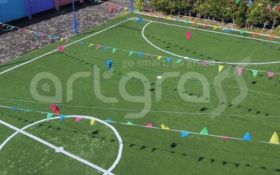 Dari Taman ke Lapangan: Tren Rumput Sintetis yang Semakin Mendominasi Dunia Olahraga
